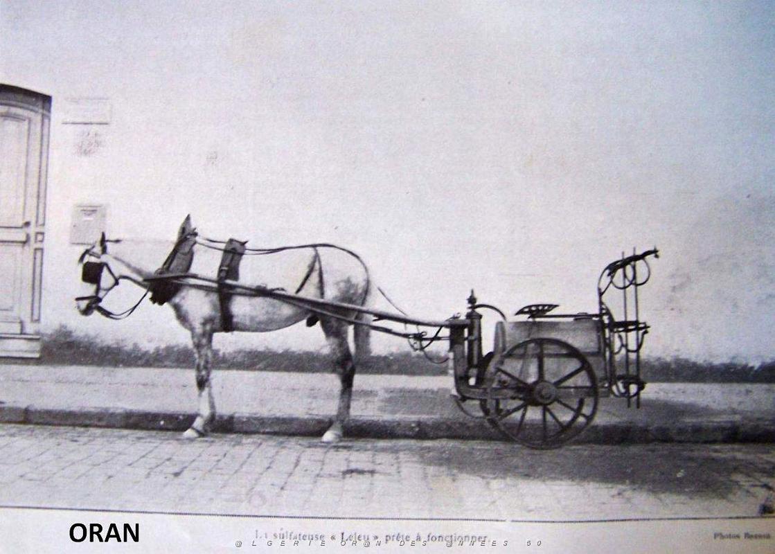 Oran 037.jpg